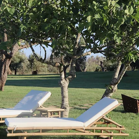 Secolario Masseria Del Viverbene Farm stay Palmariggi