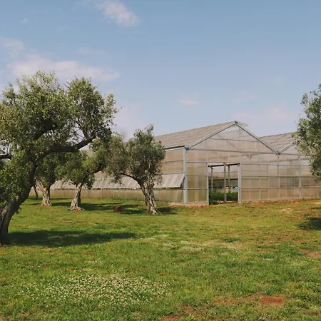 Lantgård Secolario Masseria Del Viverbene
